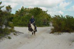 Don on horseback